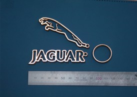 Латунь_Ягуар1.jpg